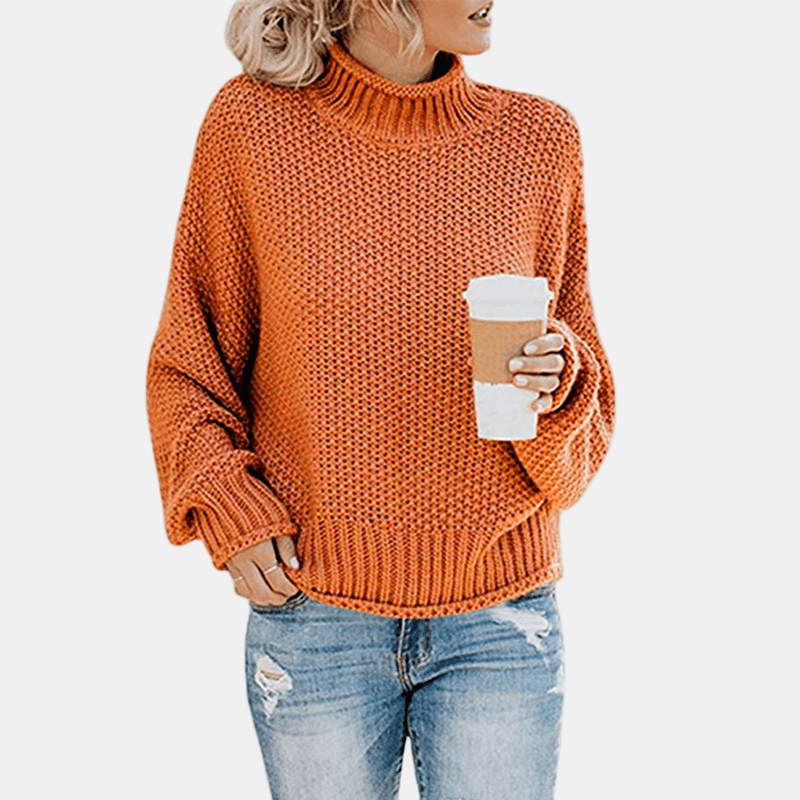 Jaselith | Snug Turtleneck Sweater
